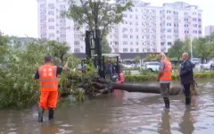 82 тысячи человек эвакуировали в Пекине из-за ливней