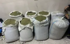 Оружие и 103 килограмма марихуаны изъяла полиция в области Улытау
