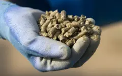 Завод по производству корма из люцерны запустят в СКО