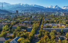 Жительницу Алматы убила рухнувшая с дерева ветка