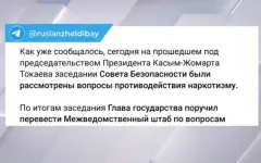 Желдибай прокомментировал итоги заседания Совбеза