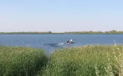 Свыше 870 объектов переведено в государственную собственность