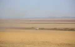 Уборочная кампания стартовала в регионах Казахстана