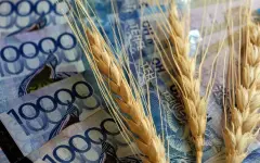 Экспорт казахстанского зерна вырос на 55%