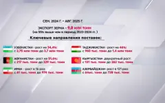 Экспорт казахстанского зерна увеличился на 55 процентов за год