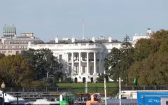 Трамп и Зеленский проведут встречу в Вашингтоне