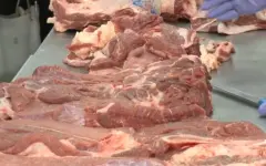 МСХ РК: информация об экспорте заражённого мяса — фейк
