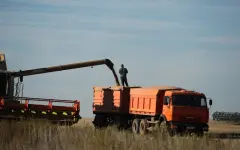 Завершается хлебоуборочная страда