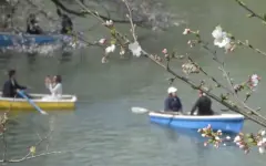 Токио назван лучшим городом мира для удалёнки