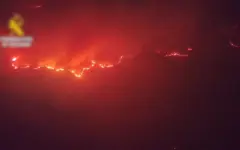 382 тысячи гектаров леса сгорело в Испании с начала года