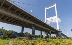 С моста – в суд: нарушитель из области Абай привлечен к ответственности