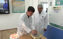 Год рабочих профессий: в СКО увеличили набор в колледжи