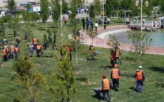 В Туркестанской области реализуются масштабные меры по формированию экологической культуры