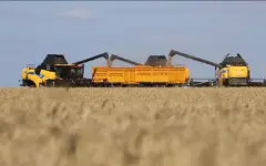 В Казахстане намолочено 2,4 млн тонн зерна