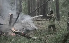 Максимальный класс пожарной опасности объявили в трех регионах Казахстана