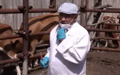 Заслуженный ветеринар проработал в животноводстве 40 лет