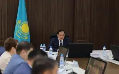 Ербол Карашукеев раскритиковал меры по предотвращению суицидов