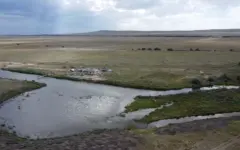 В Абайской области успешно развивают рыбоводство