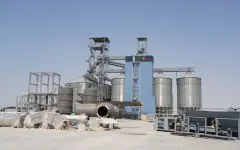 Крахмалопаточный завод запустят в Казахстане