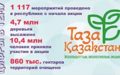 Чистота становится философией жизни