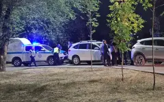 Тело неизвестного человека нашли в камышах около парка в Алматы