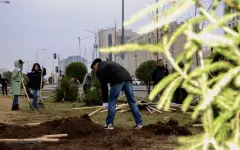 Послание Президента 2024: экологическое движение «Таза Қазақстан» объединило более 10,4 млн человек