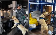 Полицейские ЗКО проводят рейды по борьбе с наркопреступностью