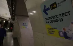 Тест для выявления сразу 25 вирусов создали в России