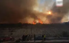 Лесные пожары на Кипре: сгорело 10 тысяч га