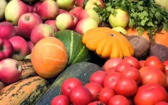 В Астане стартуют ярмарки: тонны свежих продуктов от фермеров каждые выходные