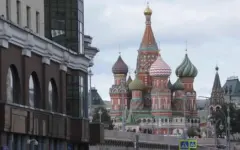 В РФ выявлен первый случай лихорадки чикунгунья