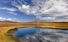 Центр изучения водных проблем ШОС может появиться в Казахстане