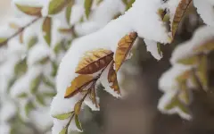 Дождь с переходом в снег, заморозки -2°С и сильная жара до +38°С надвигаются на Казахстан