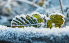 Заморозки, мокрый снег и жара до +40°С: какая погода будет в Казахстане в сентябре-2025