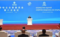 Началось 8-е заседание казахско-китайского Делового совета