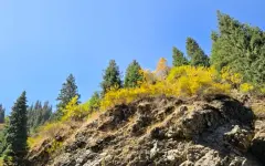 Заморозки до –2 °C прогнозируют синоптики в Казахстане