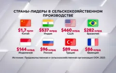 Названы страны-лидеры в сельском хозяйстве