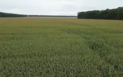 Финансирование аграрной науки увеличивают в Казахстане