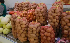Казахстанские фермеры не могут экспортировать свой картофель