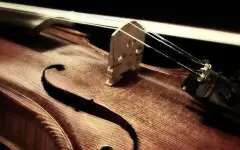 Скрипку, спрятанную Эйнштейном во время бегства от нацистов, продадут на аукционе