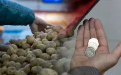 В правительстве пообещали, что цена на картофель весной не превысит 185 тенге за кг