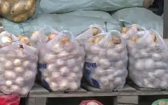 Цена на картофель весной не превысит 185 тенге