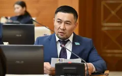 Депутат прервал заседание Мажилиса, чтобы поздравить маму с днем рождения