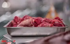 Почему казахстанцы вынуждены покупать дорогое мясо и импортную молочку – Жумангарин