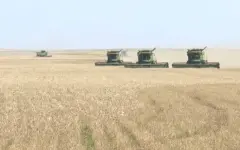 Льготные кредиты получили 910 фермеров