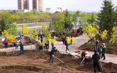 Экологический месячник стартует в Астане с 13 сентября