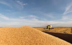 Ущерб в 6,5 млн тенге: тонны пшеницы вывезли из агрофирмы в Костанайской области