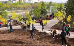 Экологический месячник стартует в Астане с 13 сентября