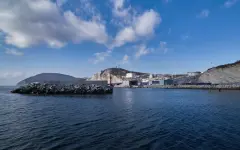 КТК возместил ущерб после нештатной ситуации с разливом нефти