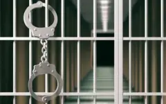 Подозреваемый в даче взятки задержан в Грузии